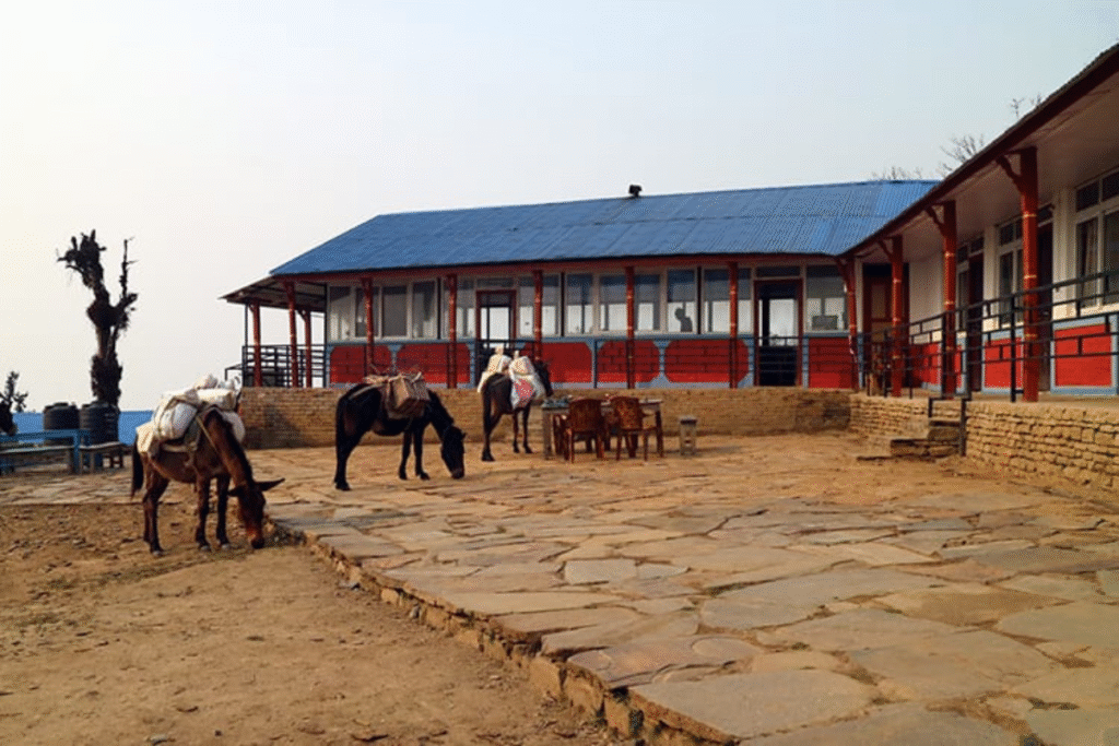 "Mardi Low Camp" "Mardi Himal Trek" "Mardi Base Camp Trek"