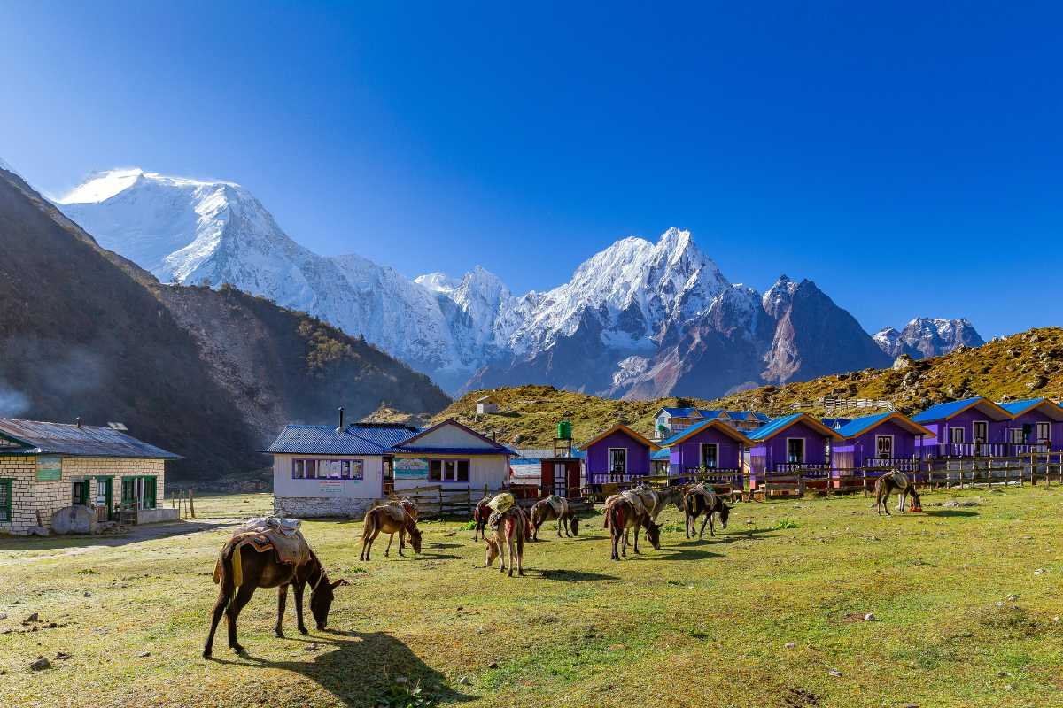 Why Visit Nepal?