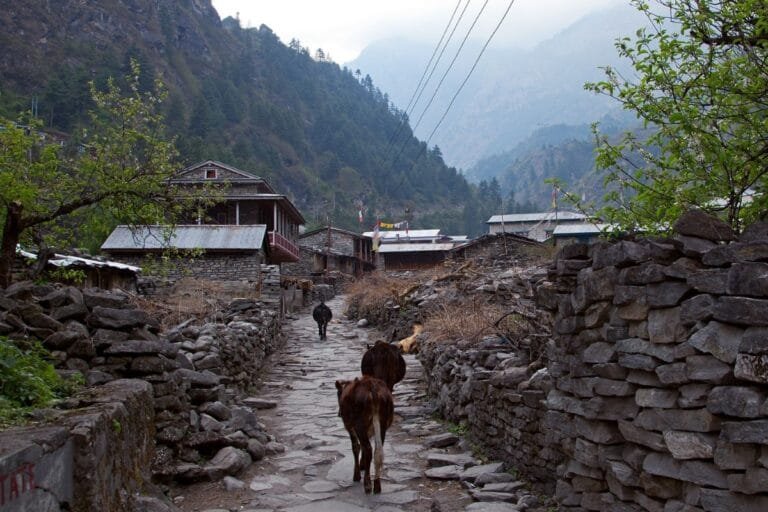 Dharapani, Annapurna Circuit Trek