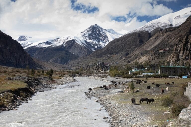 Manang, Annapurna Circuit Trek