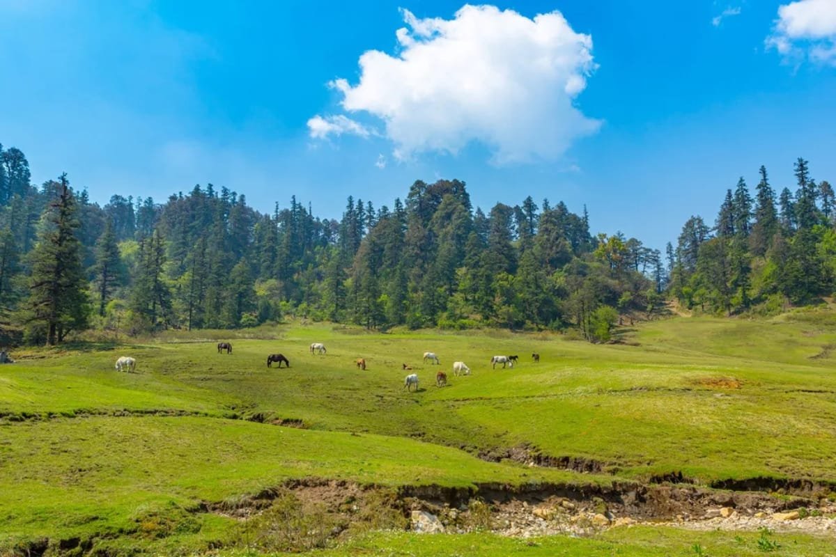 khaptad national park