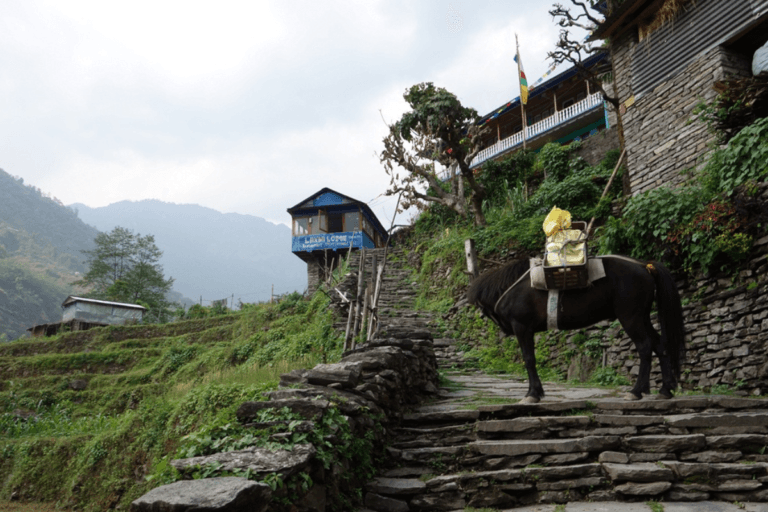 Tikhedhunga, Annapurna base camp trek