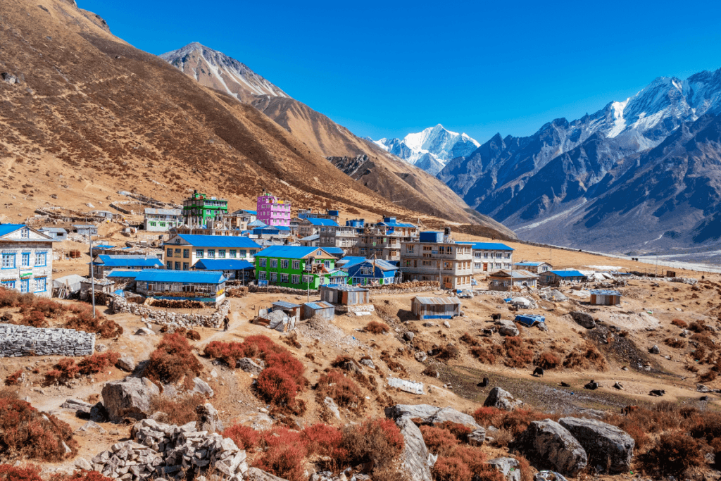 Nepal langtang valley Kyanjin, 