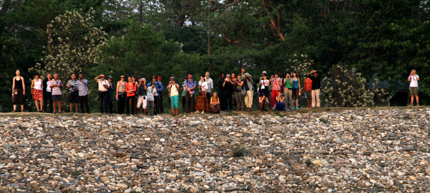 Leadership in the Wild – Chitwan Jungle Retreat