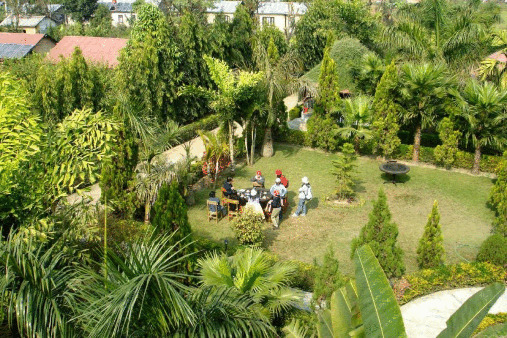 Guest in garden