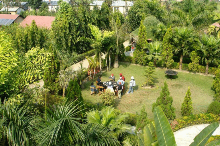Guest in garden