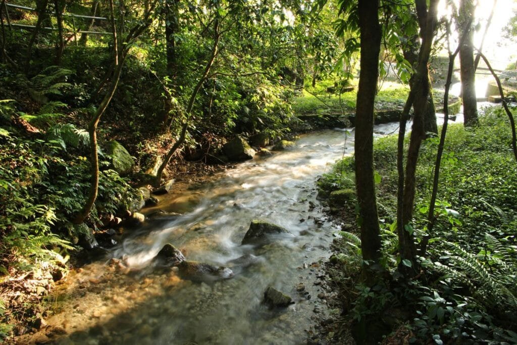 Shivapuri Naggarjun National Park