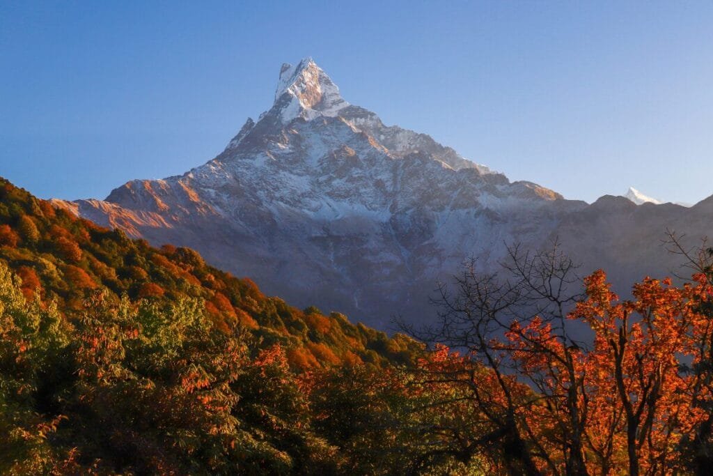 Autumn in Nepal, Fishtail Mountain in the background.